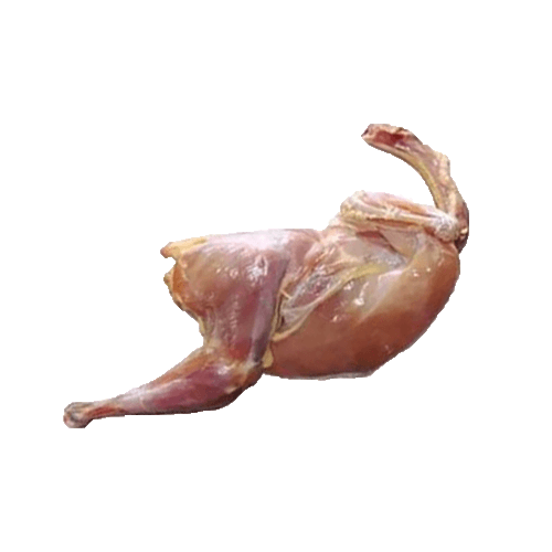 দেশি মুরগি